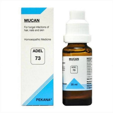 https://cdn.shopify.com/s/files/1/1857/6931/products/HVAkFHR7BO.jpg?v=1613896271